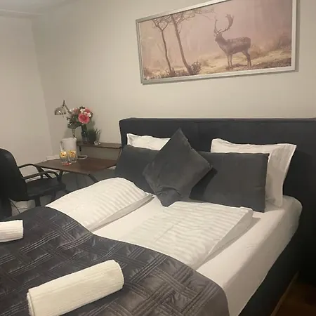 Hechtplatz 3* Curych